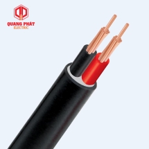 CVV-2x10 - 300/500V ( Cadivi)